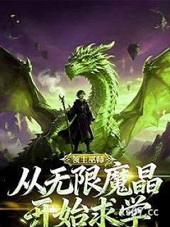 领主巫师：从无限魔晶开始求学！小说封面-长安轩-奇幻