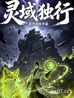 灵域独行：此世争苍穹
