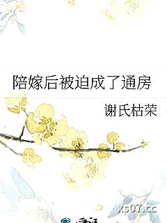 陪嫁后被迫成了通房