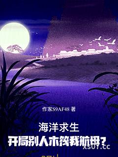 海洋求生：开局别人木筏我航母？小说封面-晚风吹海狼浪-奇幻