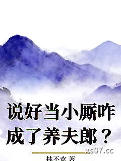 说好当小厮咋成了养夫郎？小说封面-林不欢-历史
