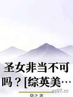 圣女非当不可吗？[综英美]小说封面-袋之-现代都市