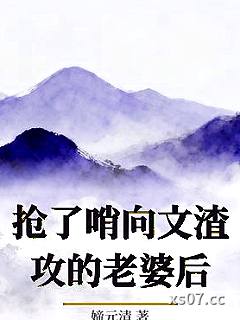 抢了哨向文渣攻的老婆后