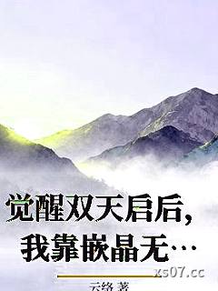 觉醒双天启后，我靠嵌晶无敌