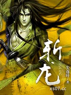 斬龍小说封面-失落葉-其他