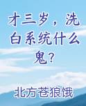 才三岁洗白系统什么鬼苏白